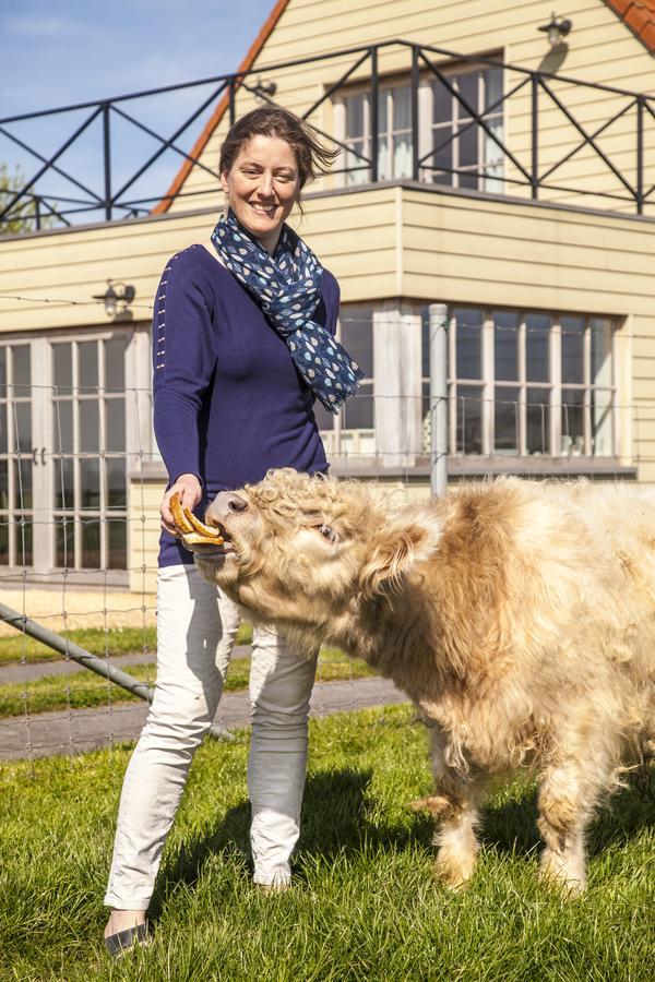 Boezinge B＆B バック2フロント Bed & Breakfast エクステリア 写真