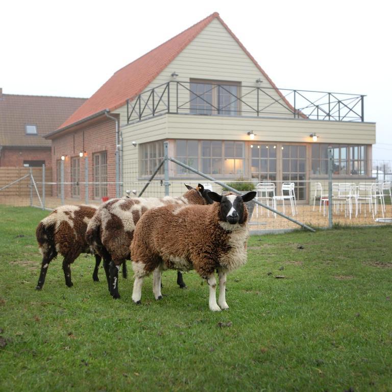 Boezinge B＆B バック2フロント Bed & Breakfast エクステリア 写真